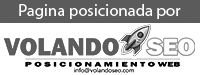 LOGO VOLANDO SEO MINI COLABORA